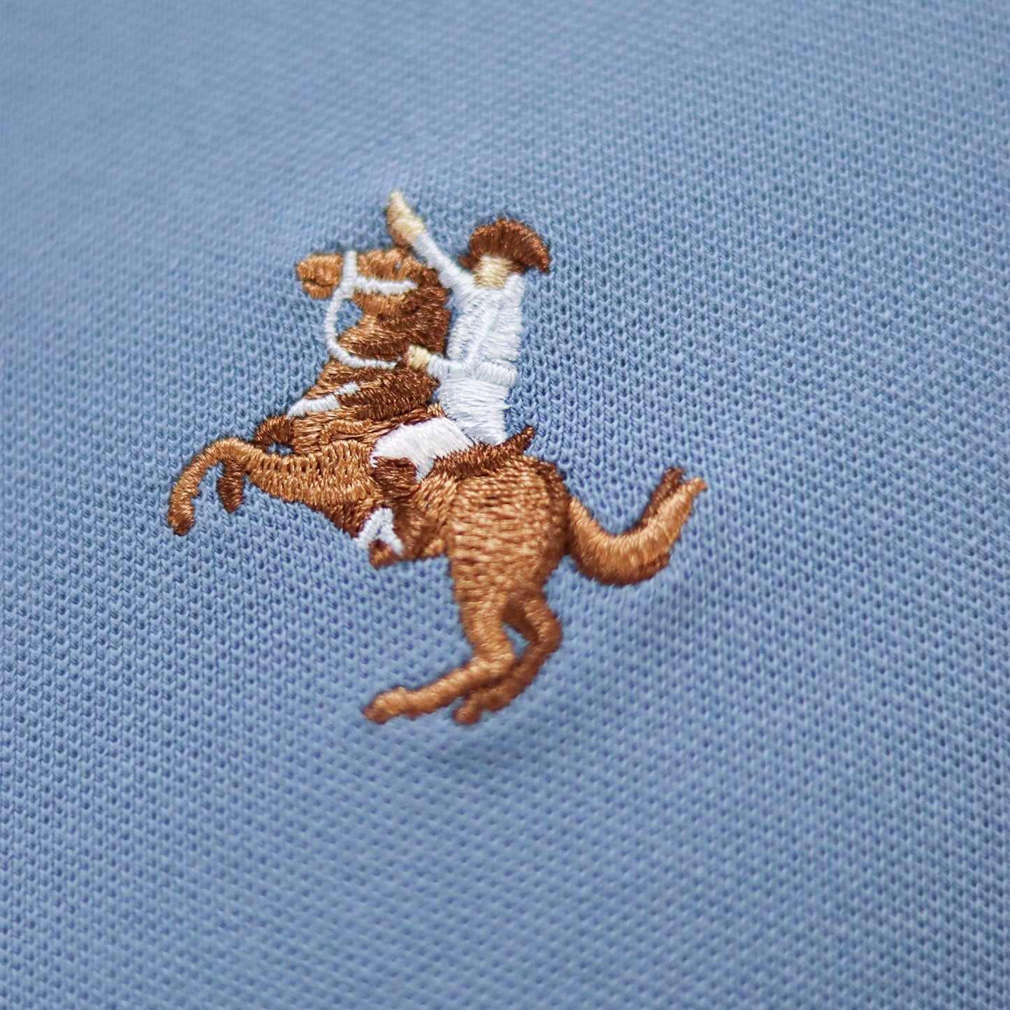 Men's Bold Polo