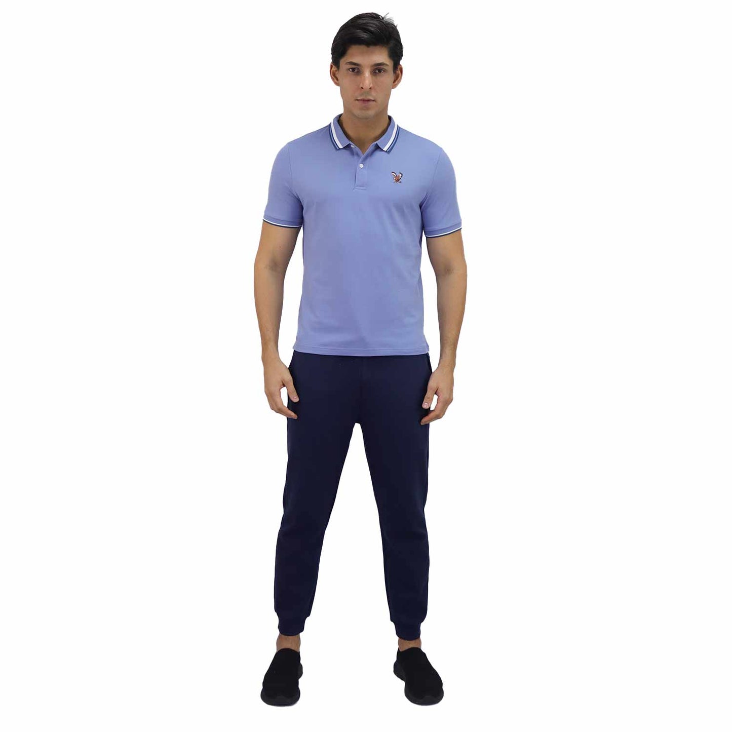 Men's Pique Flat Knit Collar Short Sleeve Eagle Embroidery Solid Color Polo