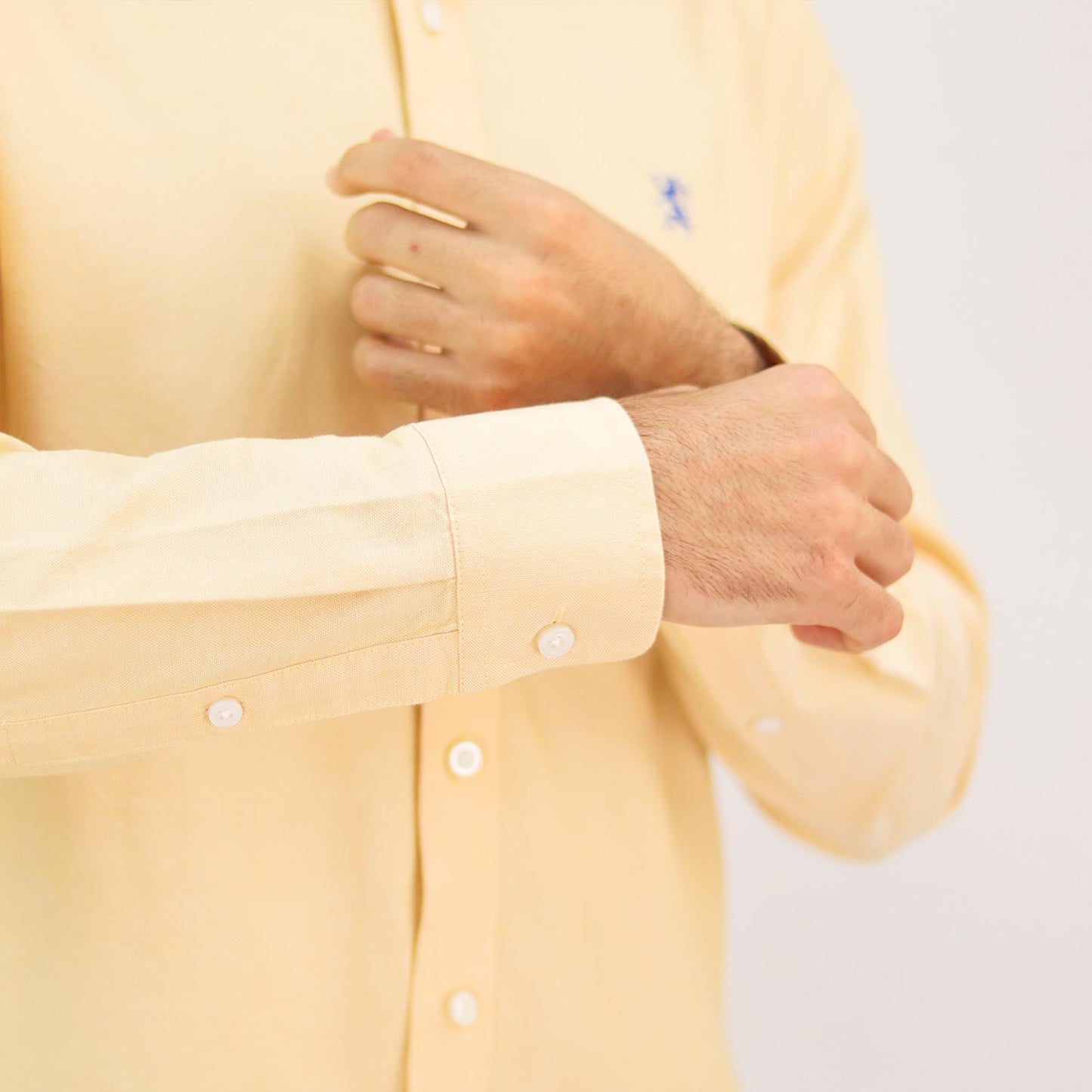 Men's Shirt With Small Lion Embroidery