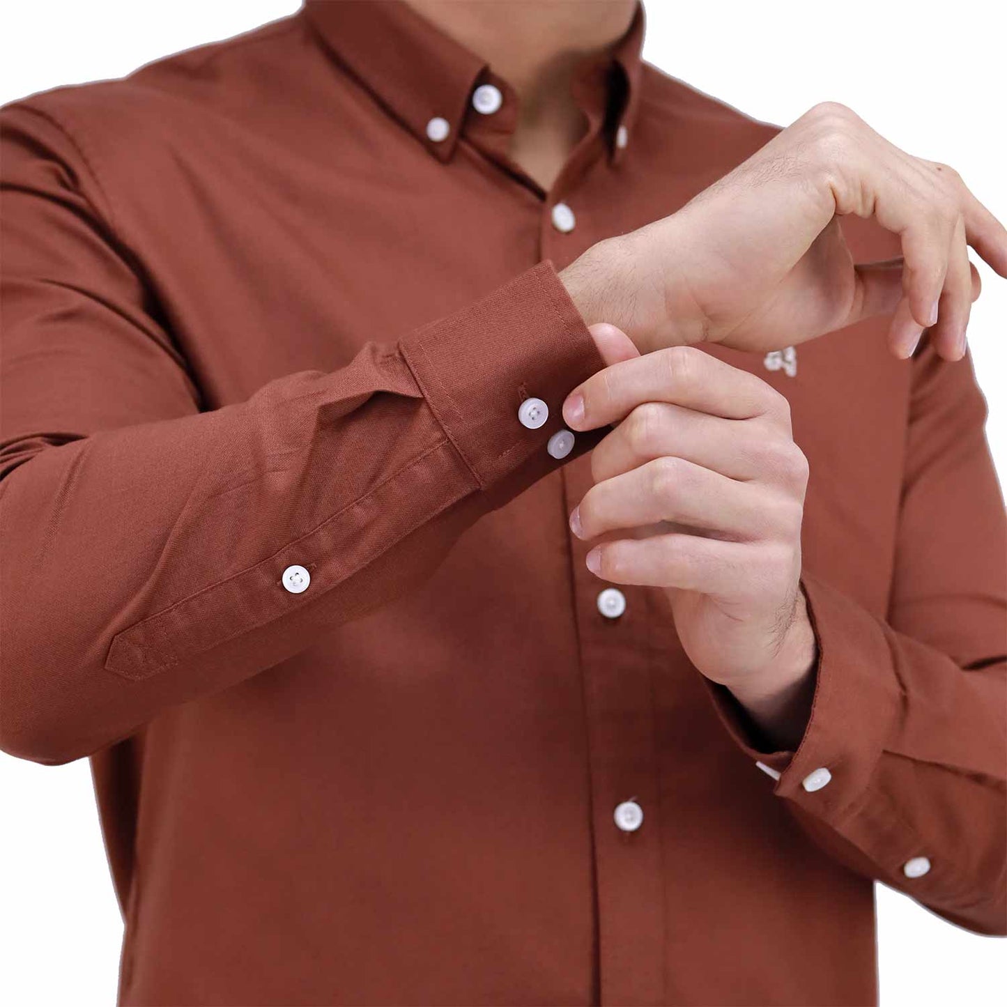 Men's Shirt With Small Lion Embroidery