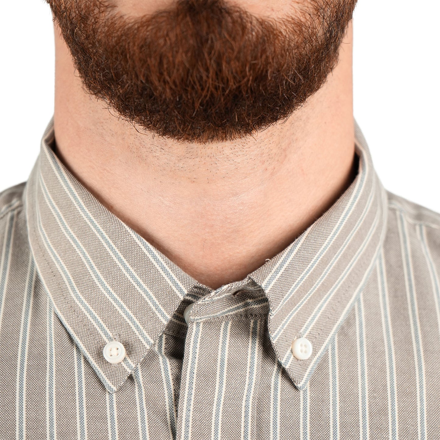Men's Shirt With Small Lion Embroidery