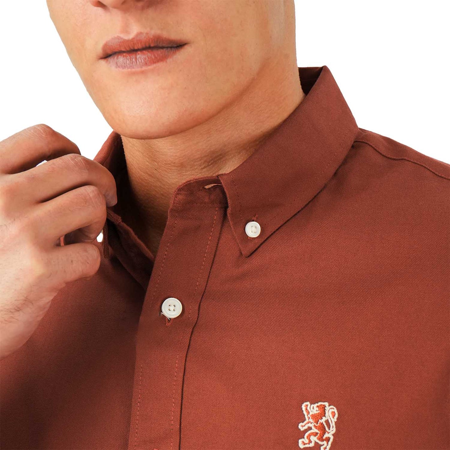Men's Cotton Oxford Shirt - Small Lion Embroidery, Slim Fit, Full Button