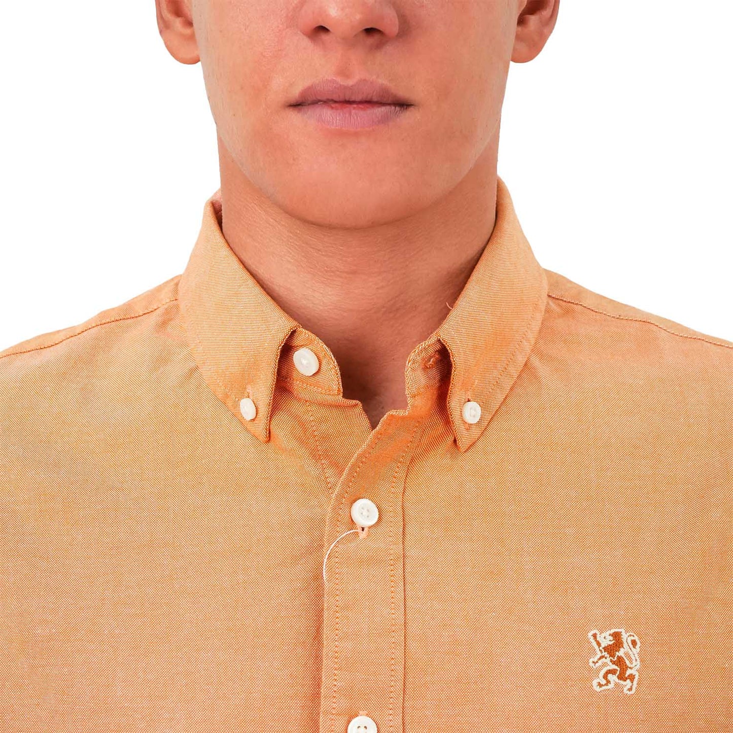 Men's Cotton Oxford Shirt - Small Lion Embroidery, Slim Fit, Full Button
