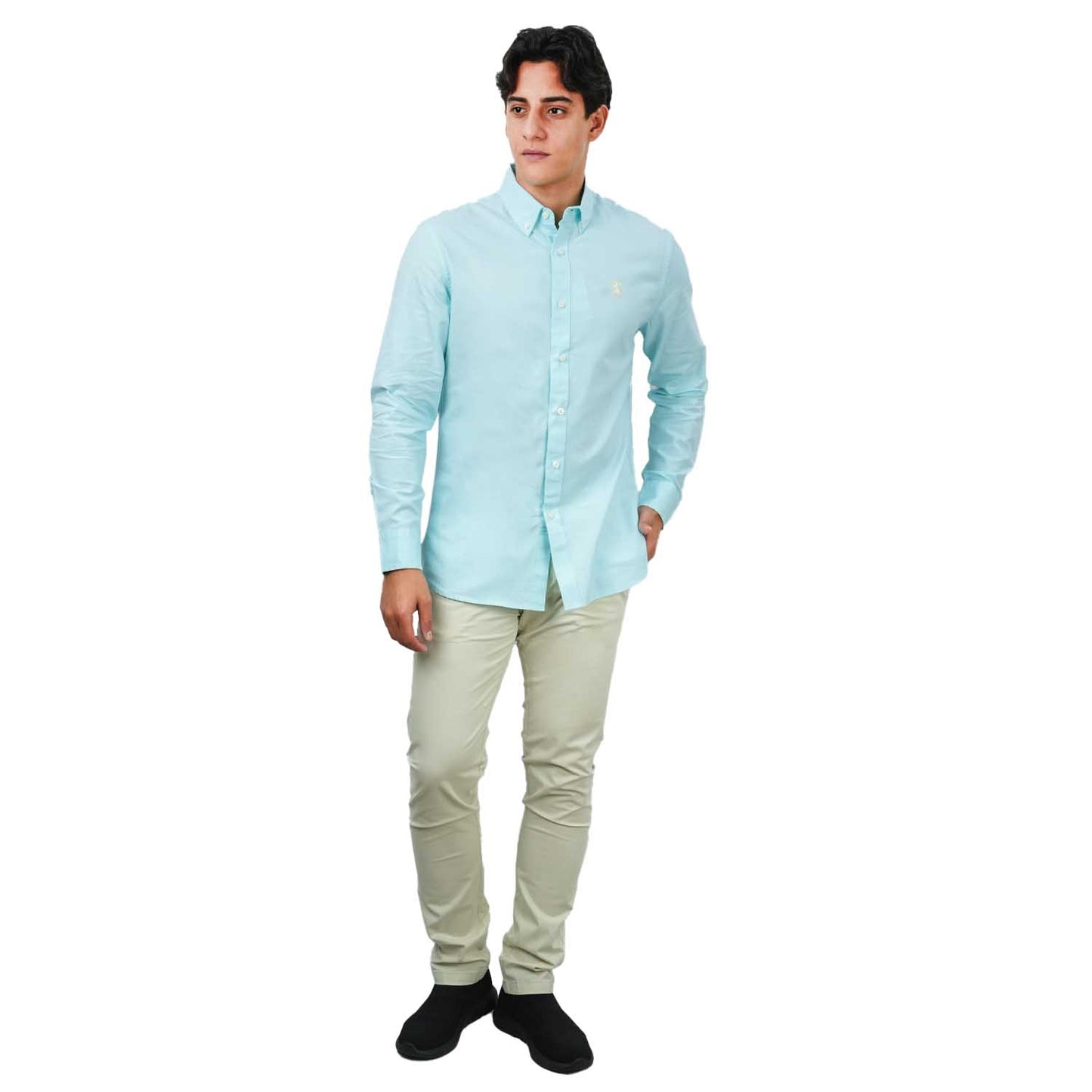 Men's Cotton Oxford Shirt - Small Lion Embroidery, Slim Fit, Full Button