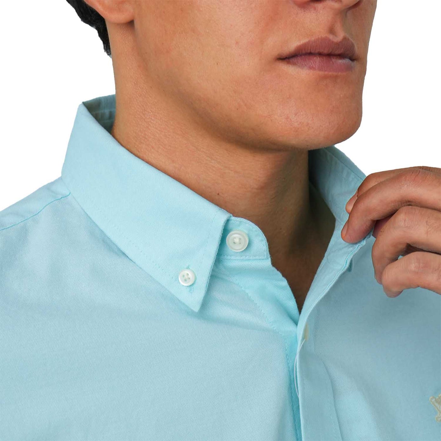 Men's Cotton Oxford Shirt - Small Lion Embroidery, Slim Fit, Full Button