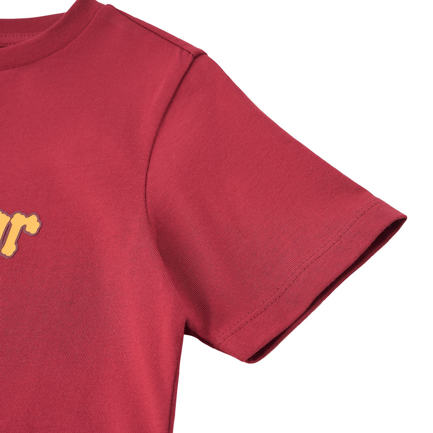 Kid's Cotton Harry Potter Print Tee - Limited Edition Collection
