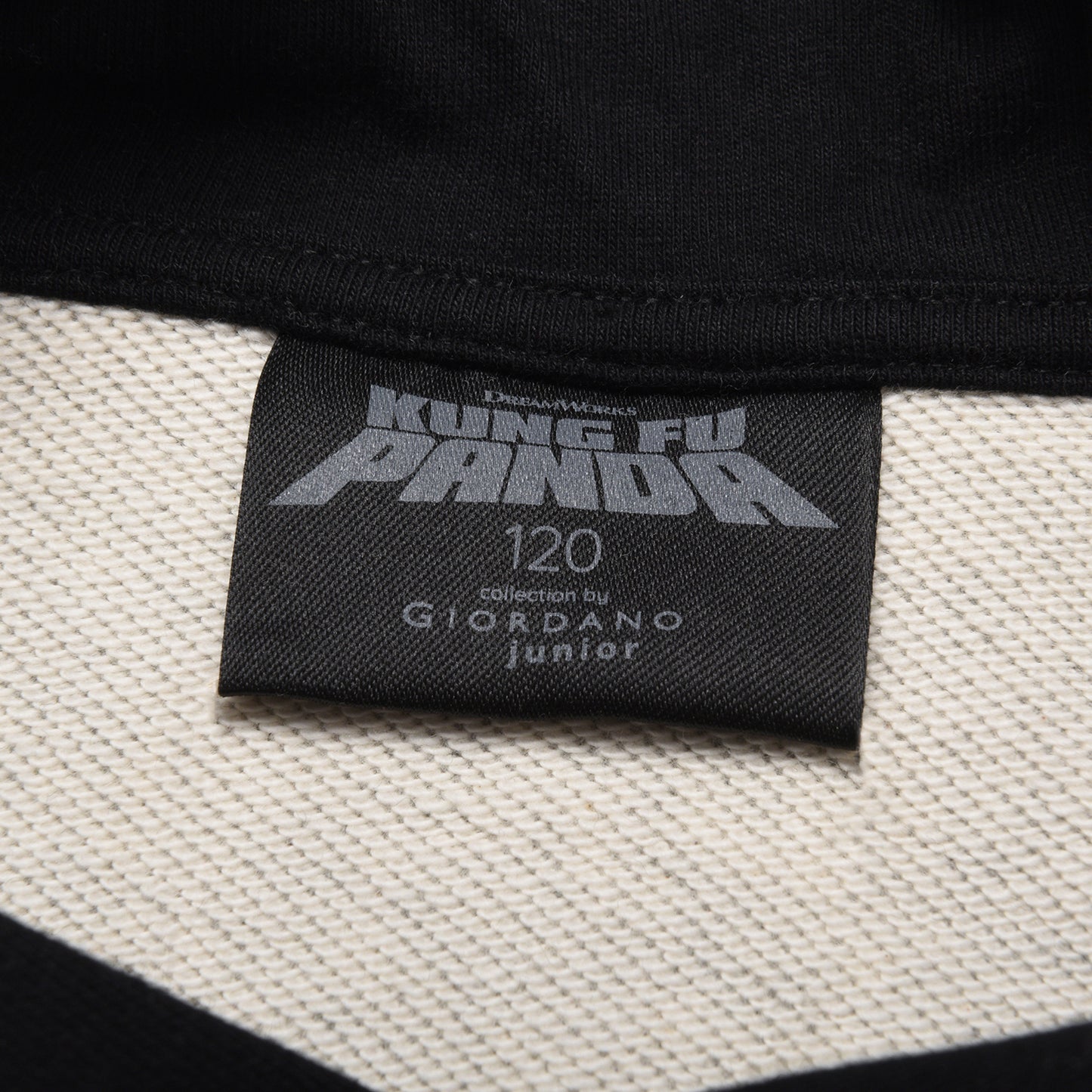 Kids Kung Fu Panda Series French Terry Hoodie