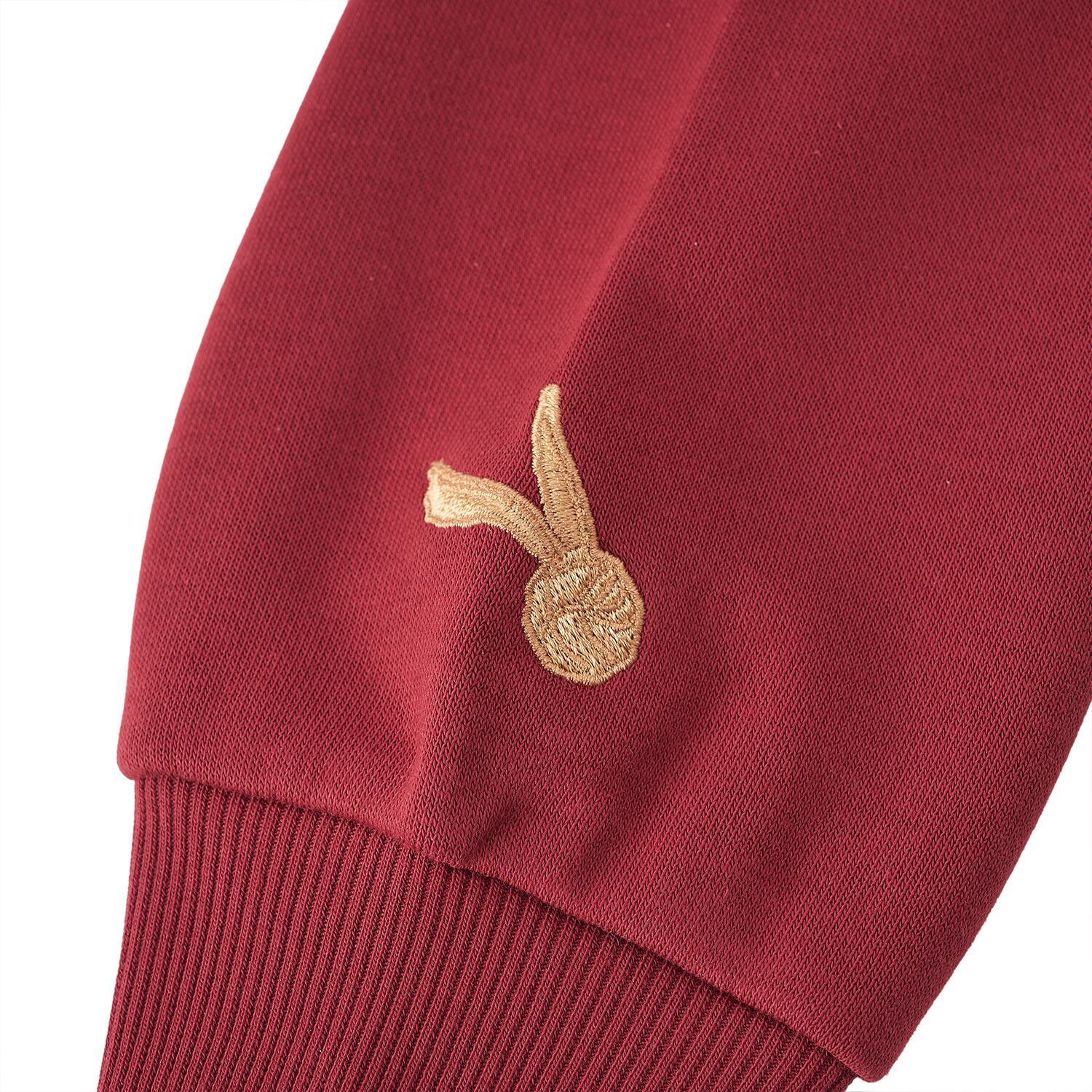 Kid's Cotton Polyester Harry Potter Printed Hoodie - Limited Edition Collection