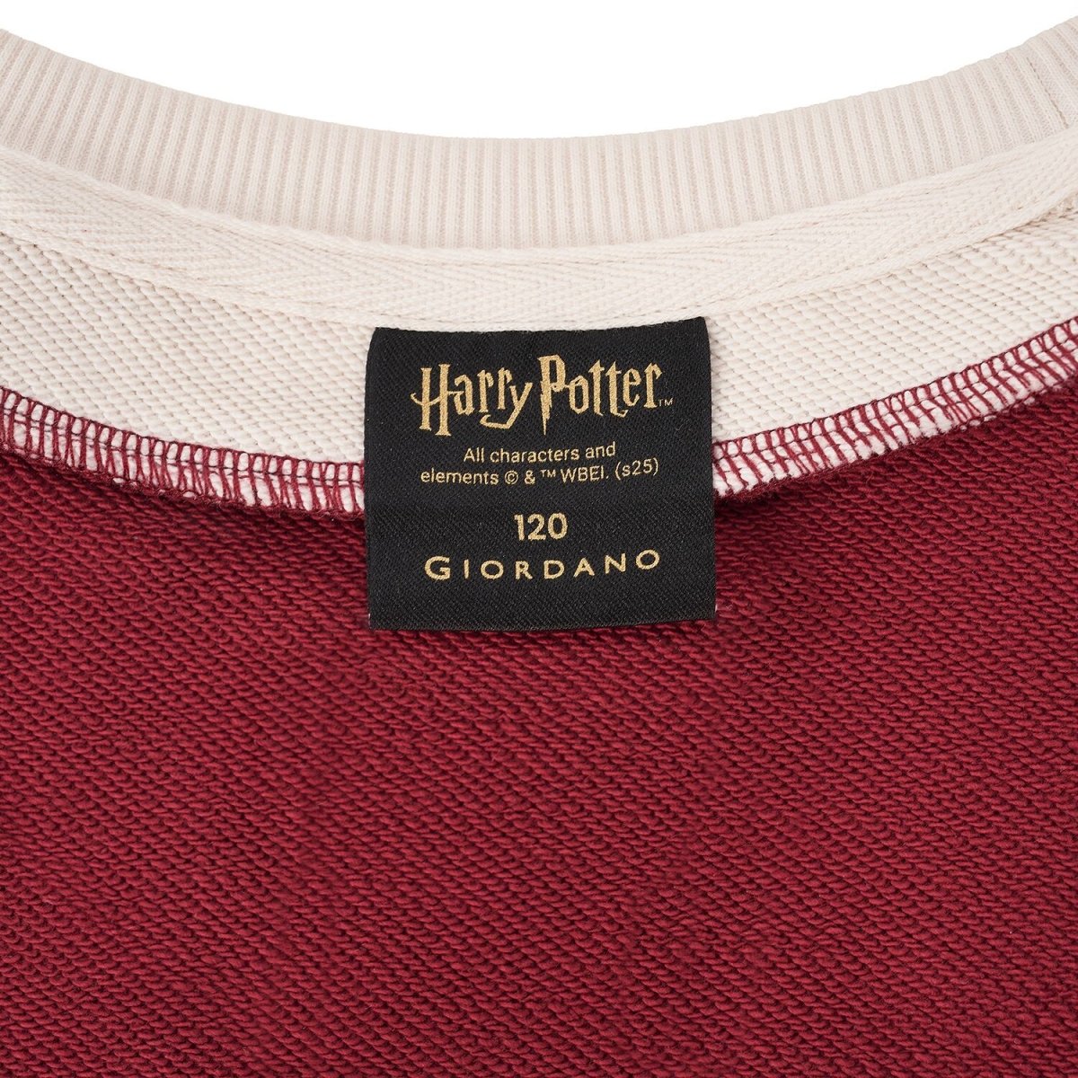 Kid's Harry Potter Printed Cotton Plolyester Sweatshirt - Limited Edition Collection 4 Y - Shop Giordano