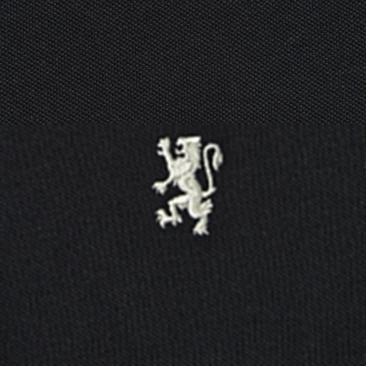 Kids' Lion Crest Polo: Slim Fit, Classic Style, Bold Detailing - Giordano