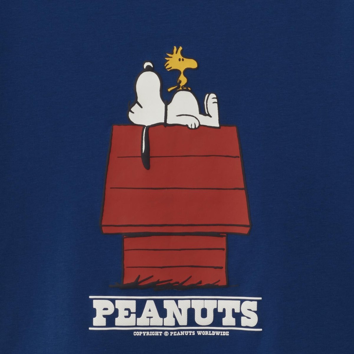 Kids' Snoopy Comfort Print Tee - Snow White Cotton - Poly Jersey Crew Neck - Giordano