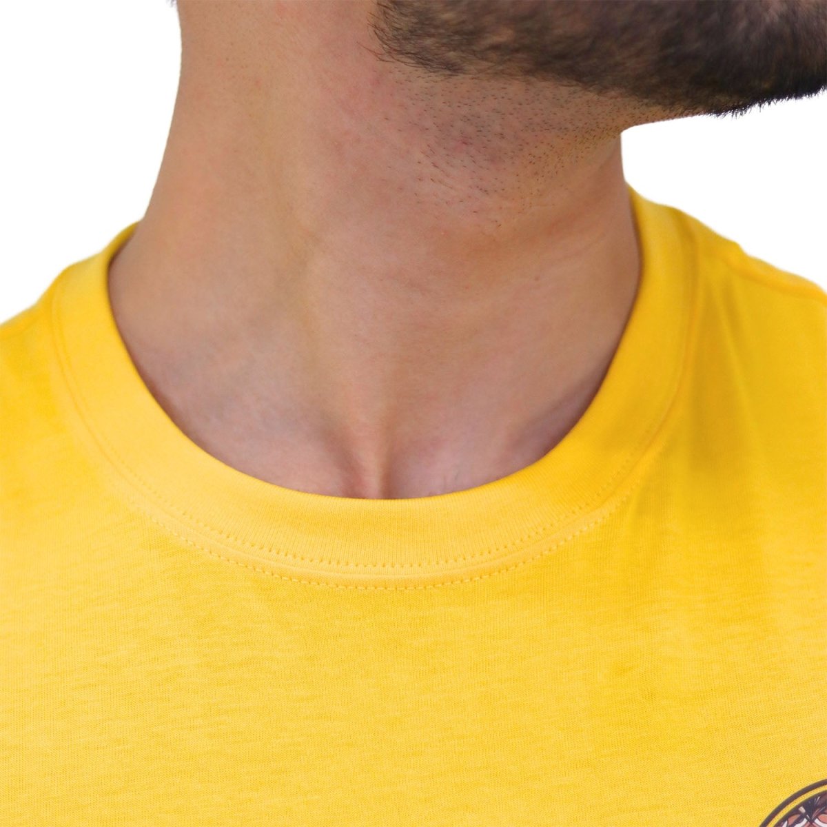 Men's Cotton Jersey Print Tee (Ai Tee) - Giordano