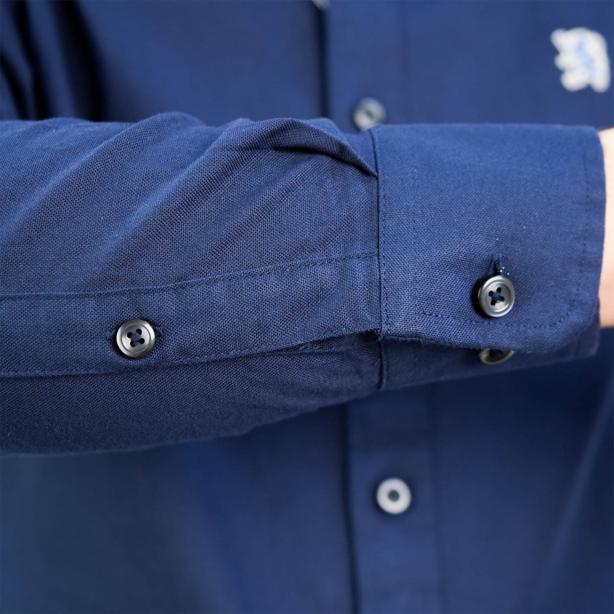 Men's Cotton Oxford Shirt - Small Lion Embroidery, Slim Fit, Full Button - Giordano