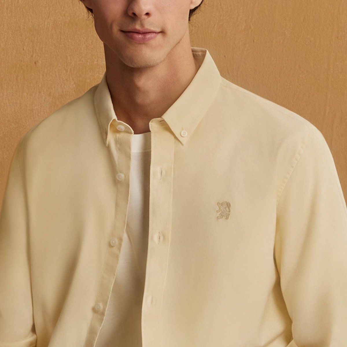 Men's Cotton Oxford Shirt - Small Lion Embroidery, Slim Fit, Full Button - Giordano