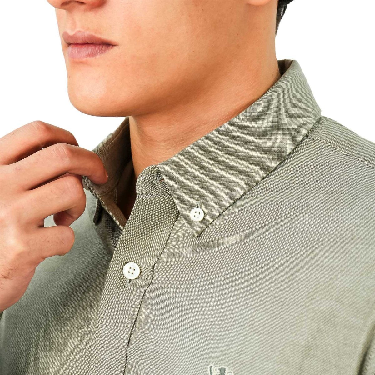 Men's Cotton Oxford Shirt - Small Lion Embroidery, Slim Fit, Full Button - Giordano