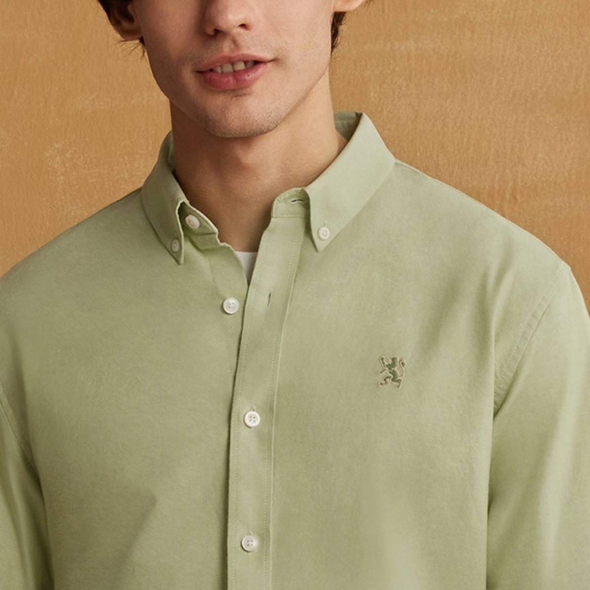 Men's Cotton Oxford Shirt - Small Lion Embroidery, Slim Fit, Full Button - Giordano