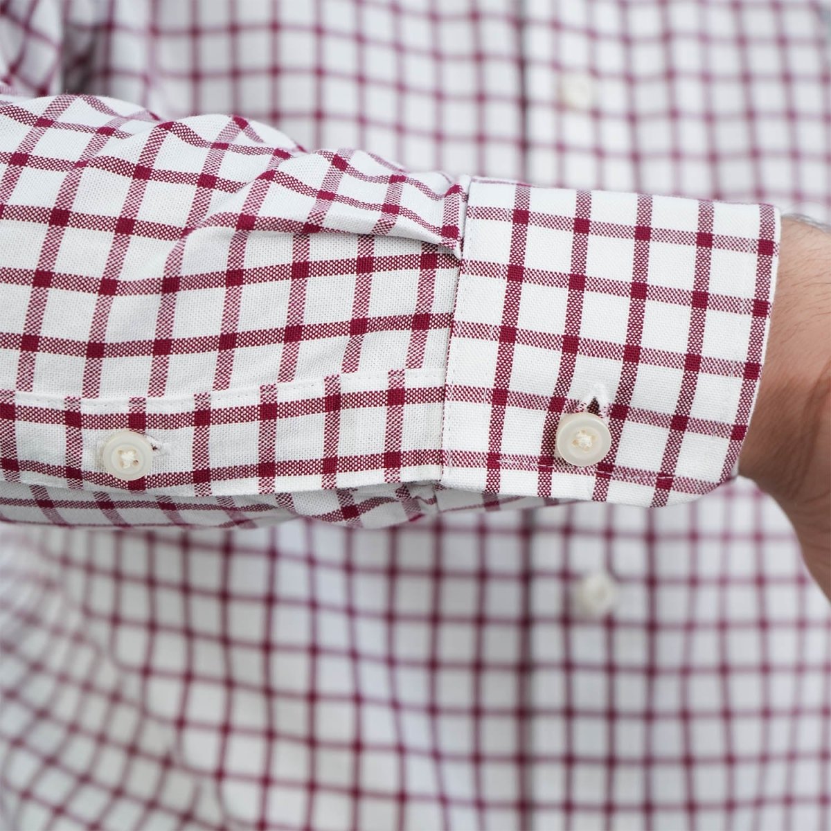 Men's Cotton Oxford Shirt - Small Lion Embroidery, Slim Fit, Full Button - Giordano