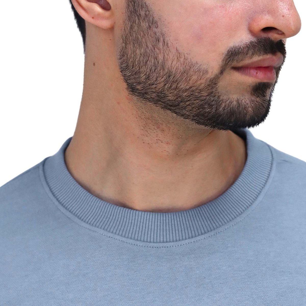 Men's Cotton Polyester French Terry Crew Neck Sweatshirt - Giordano