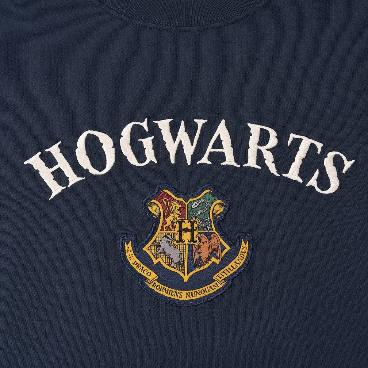 Men's Harry Potter Cotton Print Tee - Limited Edition Collection S - Shop Giordano