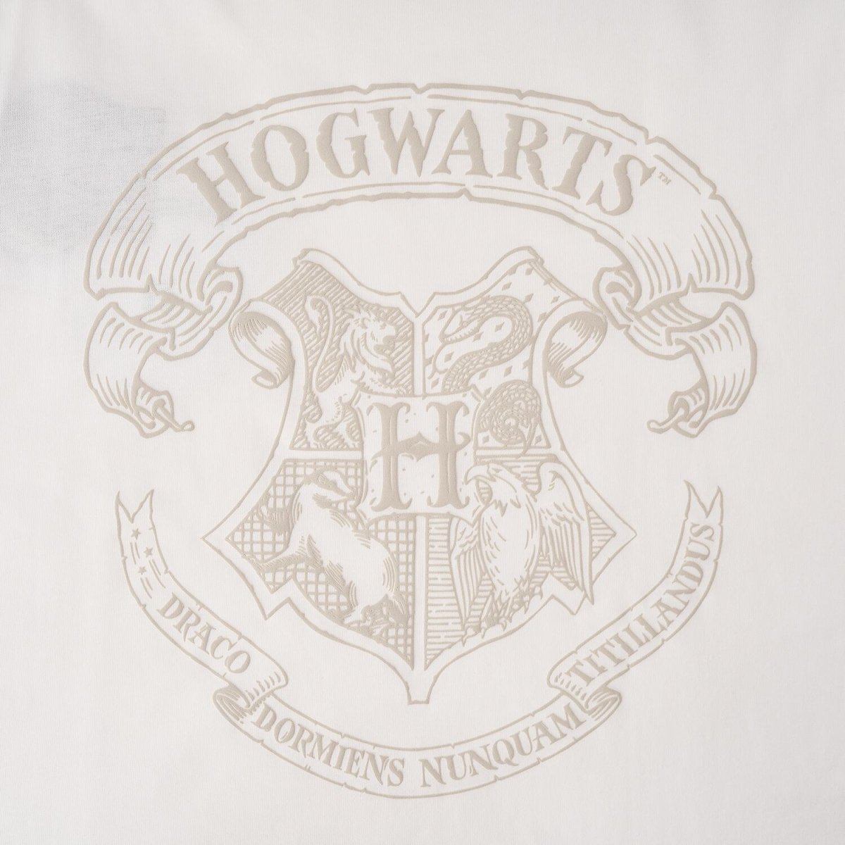 Men's Harry Potter Cotton Print Tee - Limited Edition Collection S - Shop Giordano