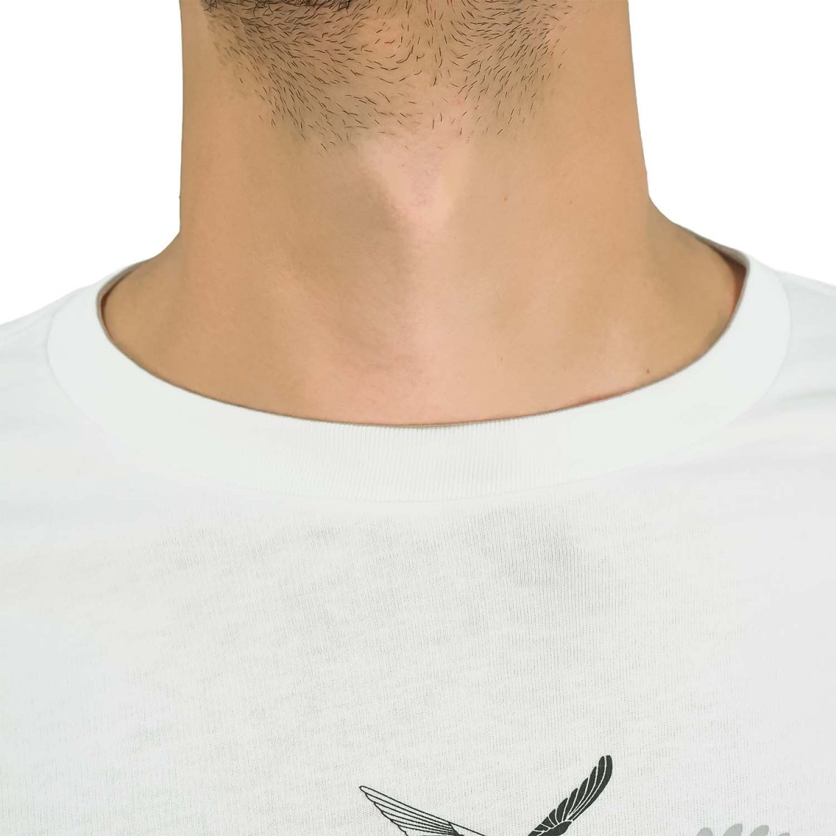 Men's Slim Fit Print Tee - Cotton Jersey, Crew Neck, Short Sleeve - Giordano
