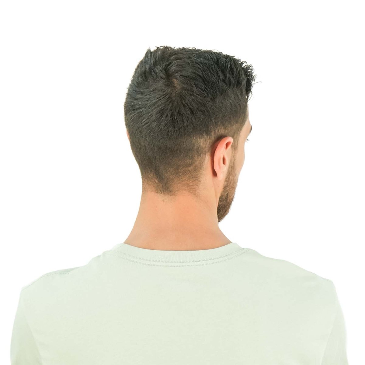 Men's Slim Fit Print Tee - Cotton Jersey, Crew Neck, Short Sleeve - Giordano