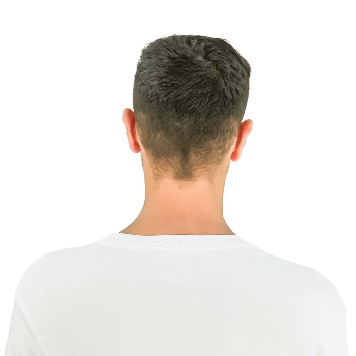 Men's Slim Fit Print Tee - Cotton Jersey, Crew Neck, Short Sleeve - Giordano
