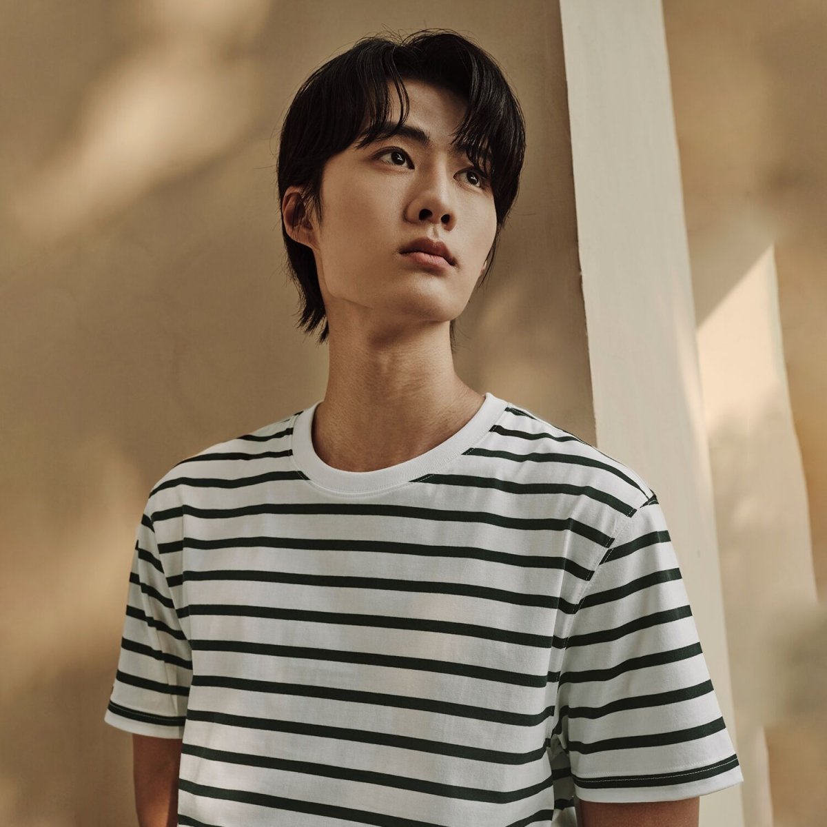 Men’S Slim Fit Striped Crew Neck Tee | Korea Collection - Giordano