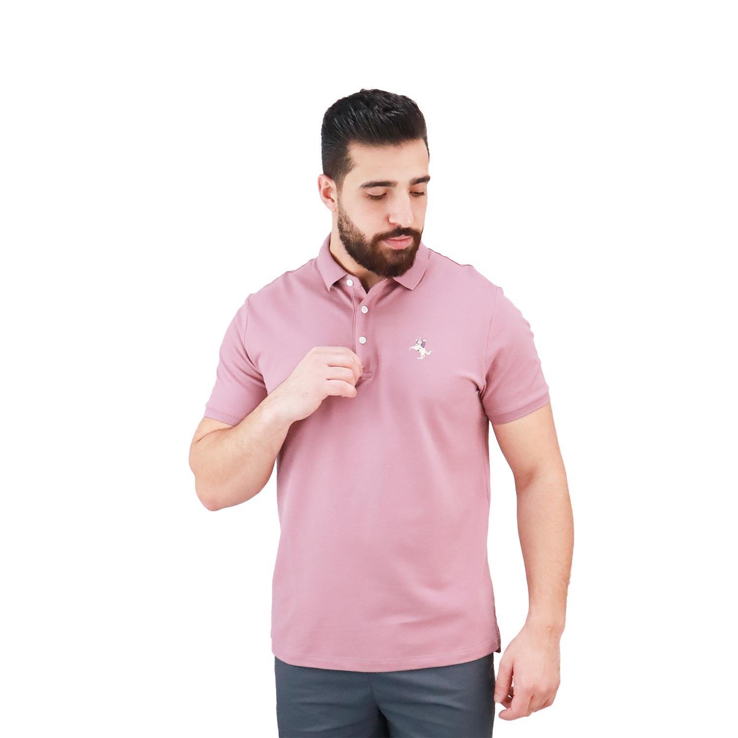 Giordano Men's Bold Polo-purple