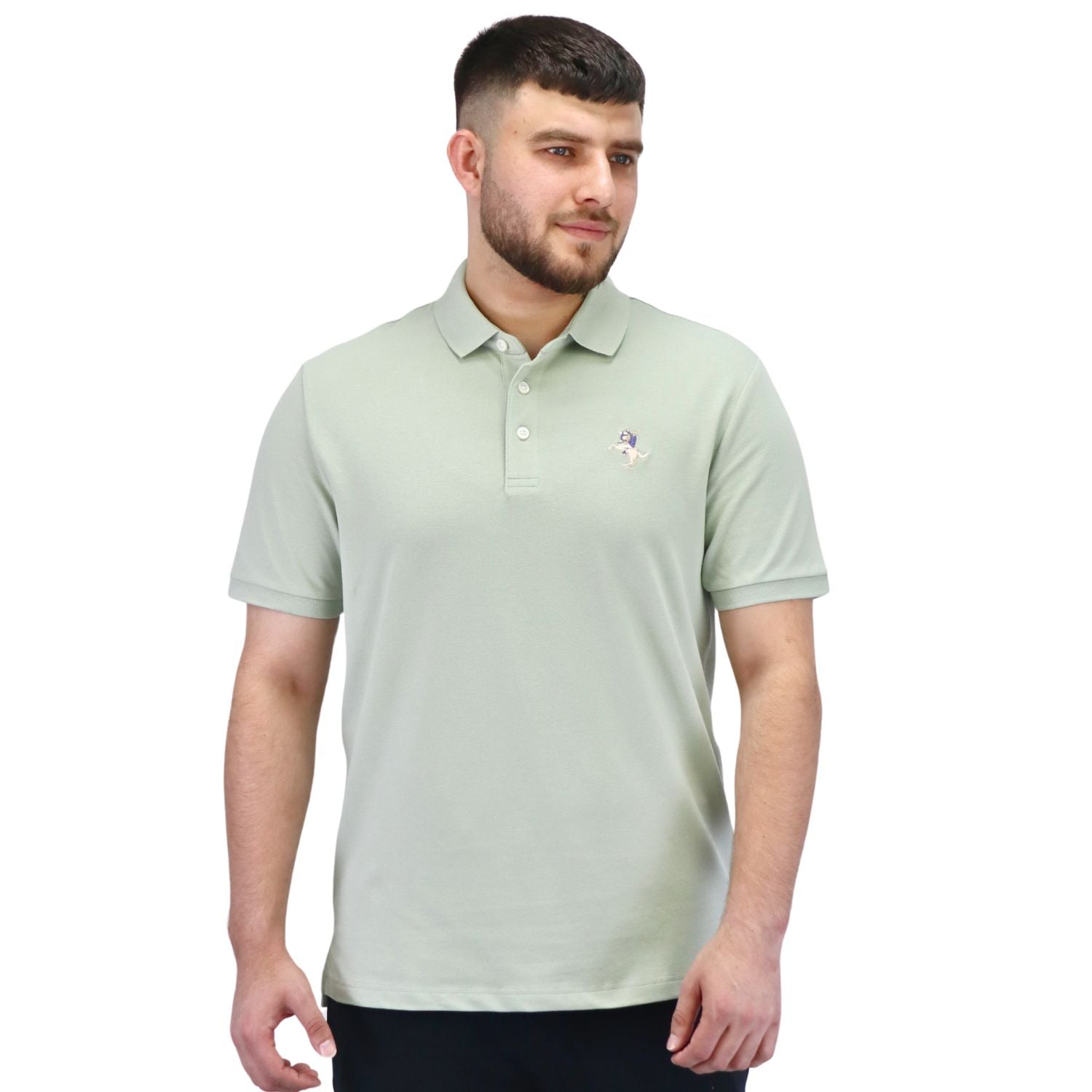 Giordano Men's Bold Polo-Green