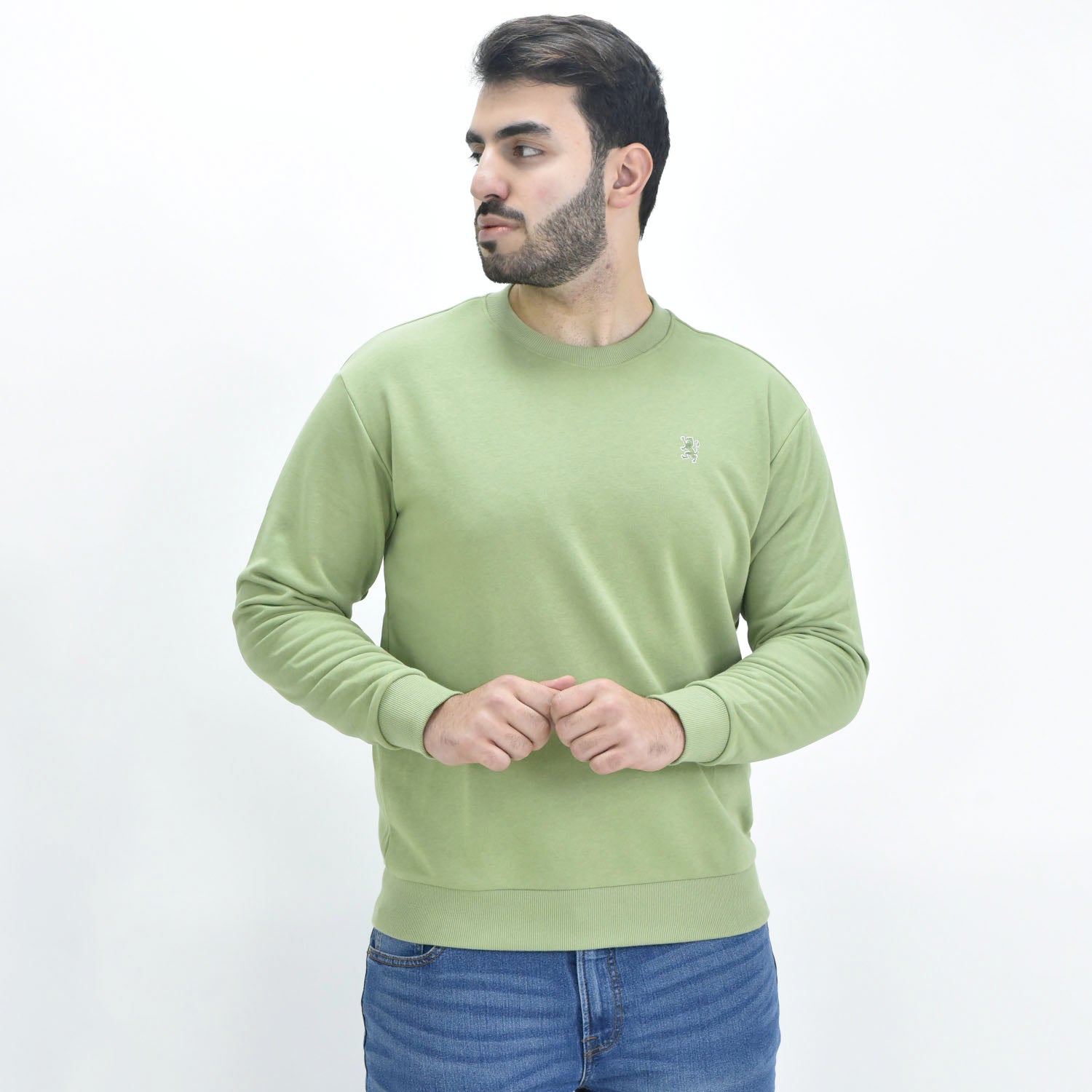 Men's Long Sleeve Crewneck Sweaters