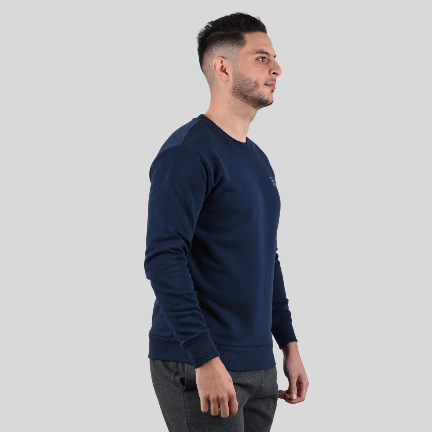Men's Long Sleeve Crewneck Sweaters