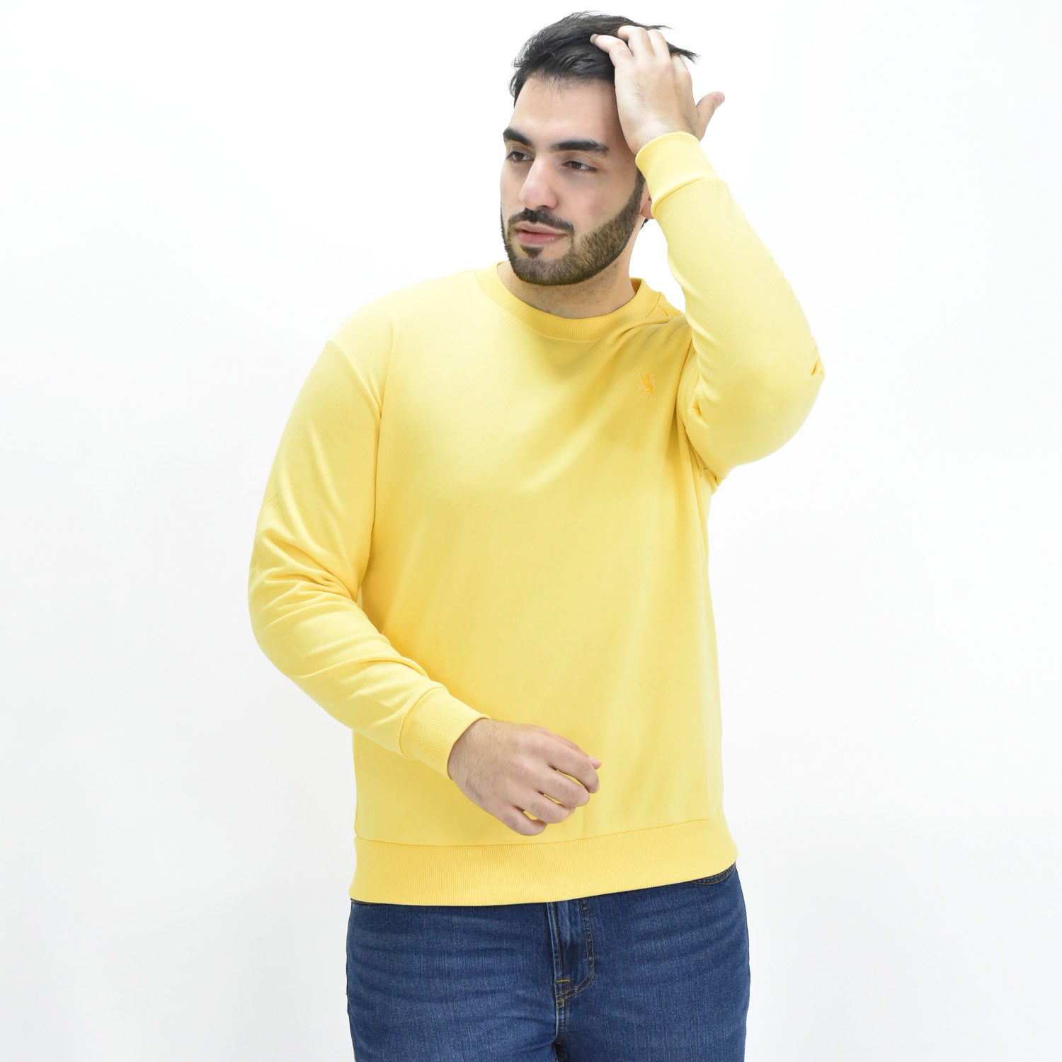 Men's Long Sleeve Crewneck Sweaters