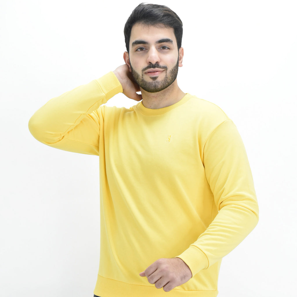 Men's Long Sleeve Crewneck Sweaters