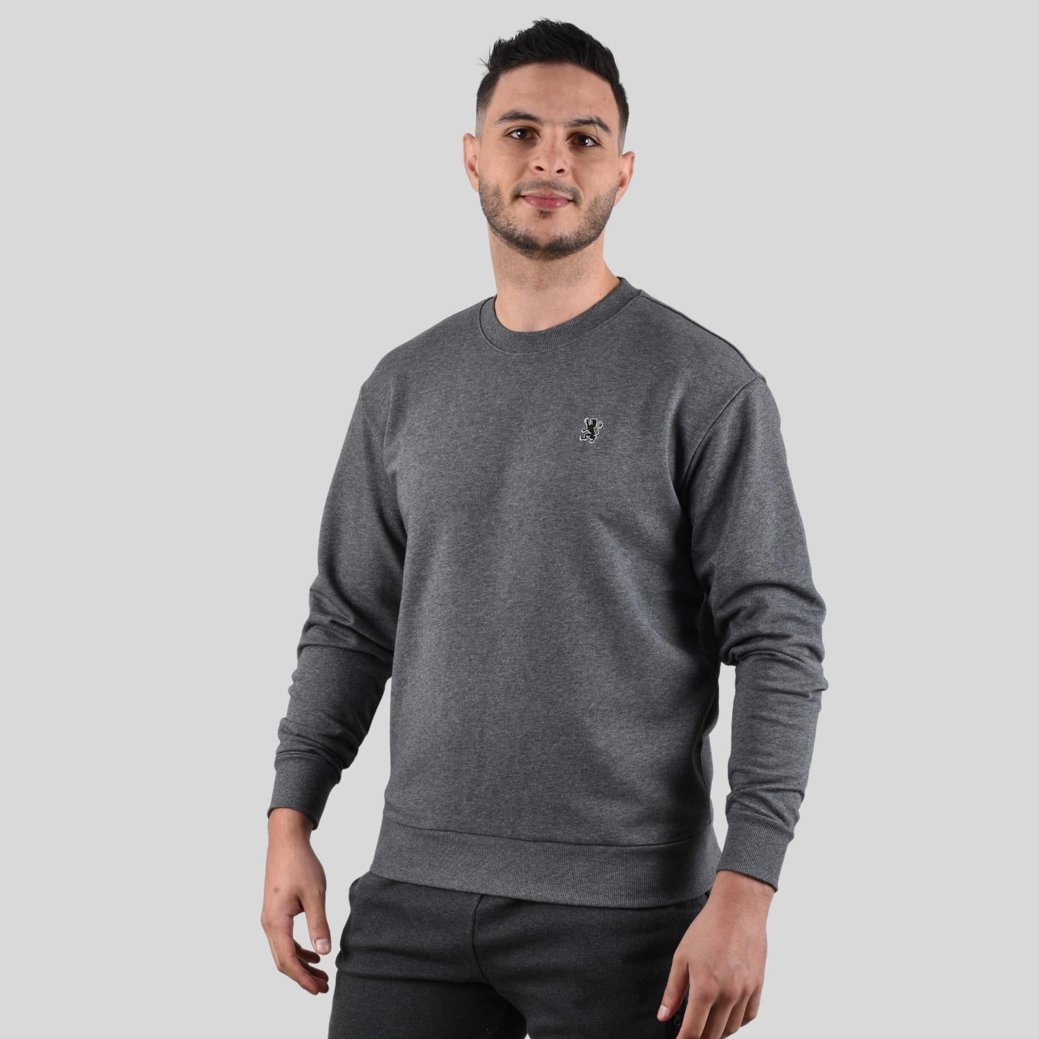 Men's Long Sleeve Crewneck Sweaters