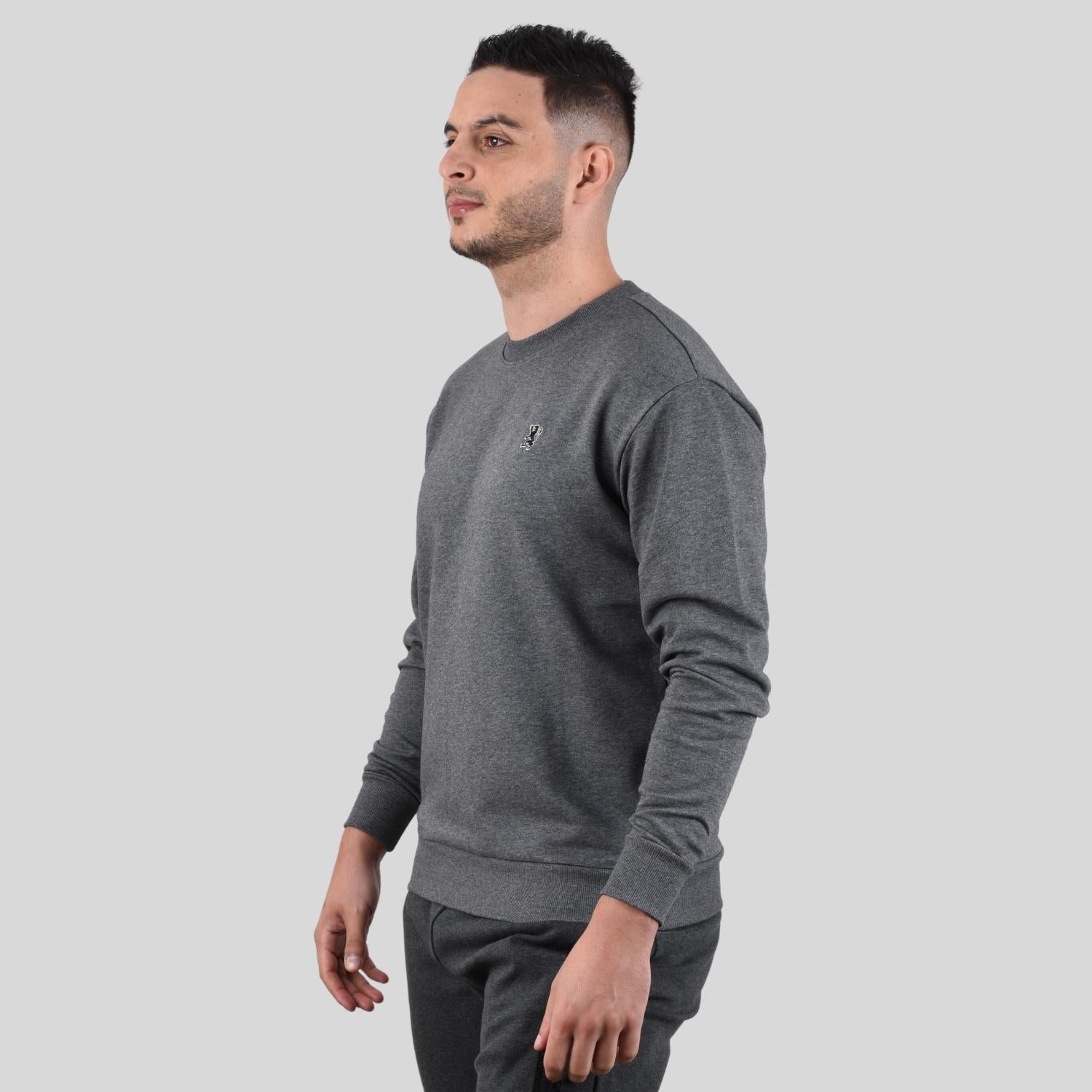Men's Long Sleeve Crewneck Sweaters