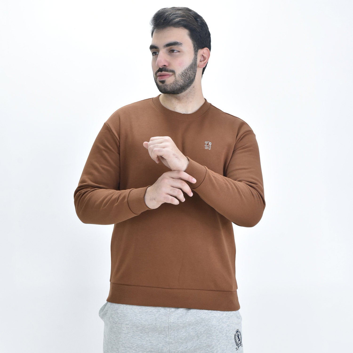 Men's Long Sleeve Crewneck Sweaters