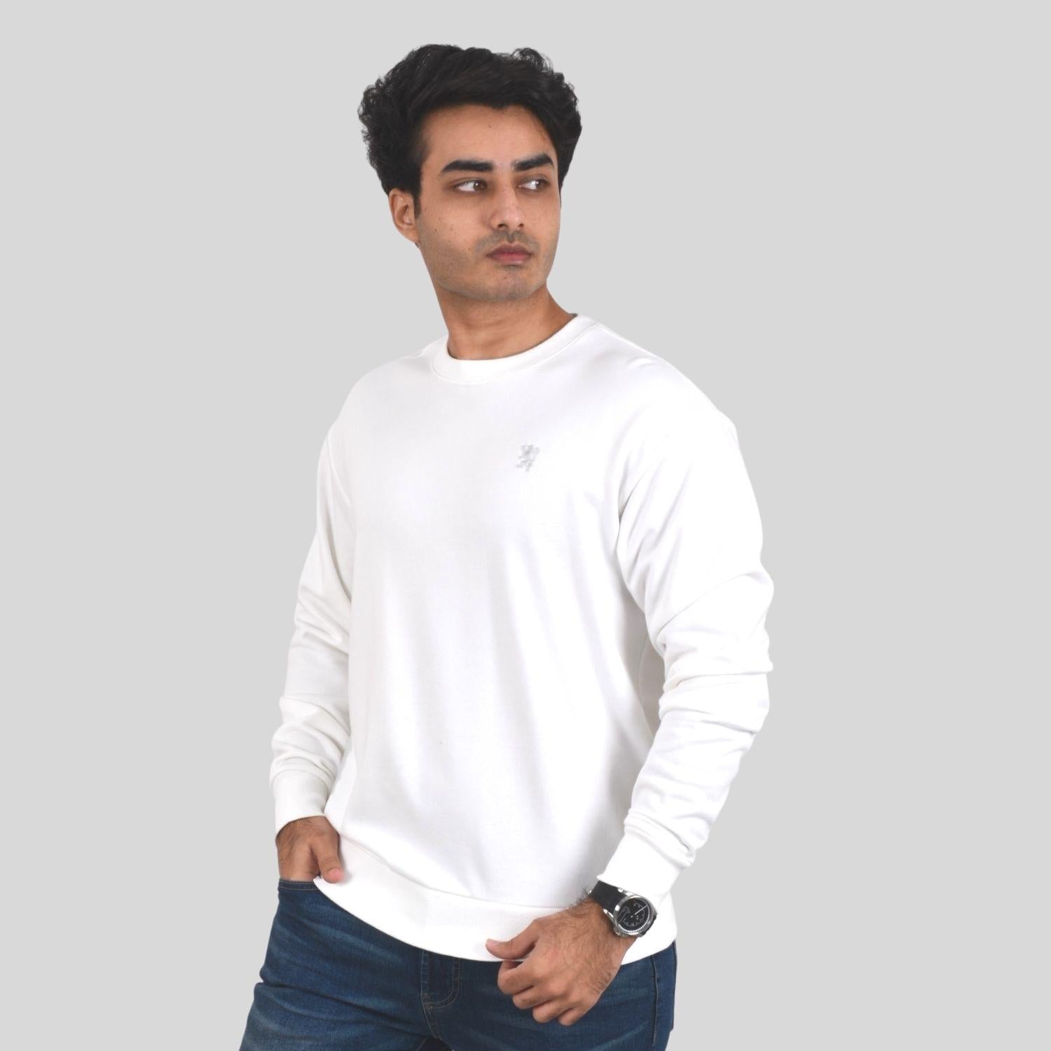 Men's Long Sleeve Crewneck Sweaters