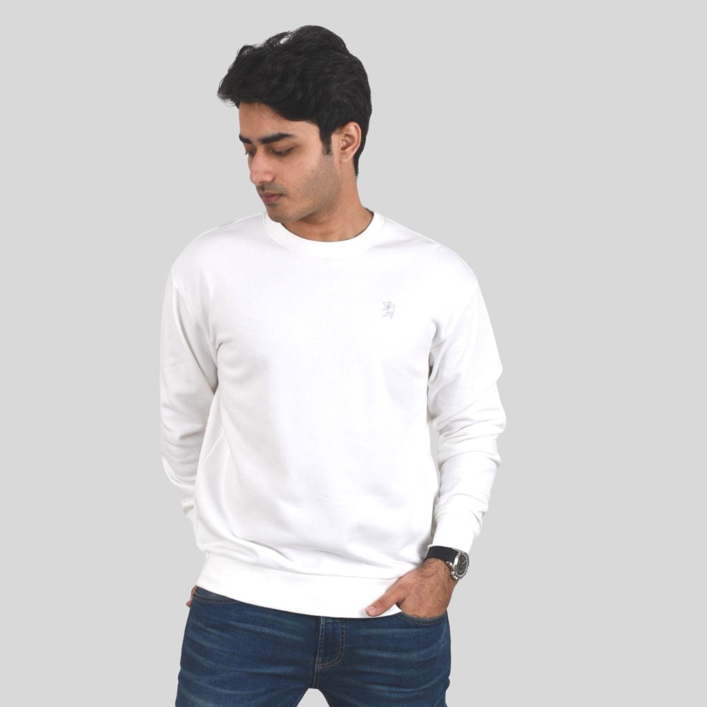 Men's Long Sleeve Crewneck Sweaters