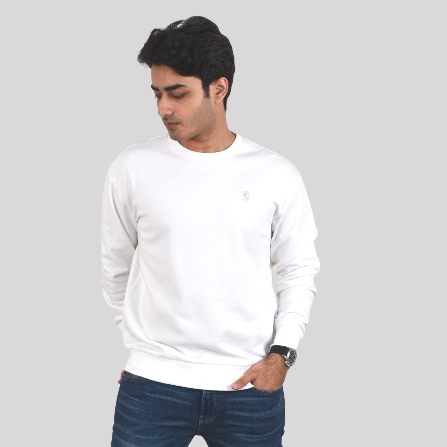 Men's Long Sleeve Crewneck Sweaters