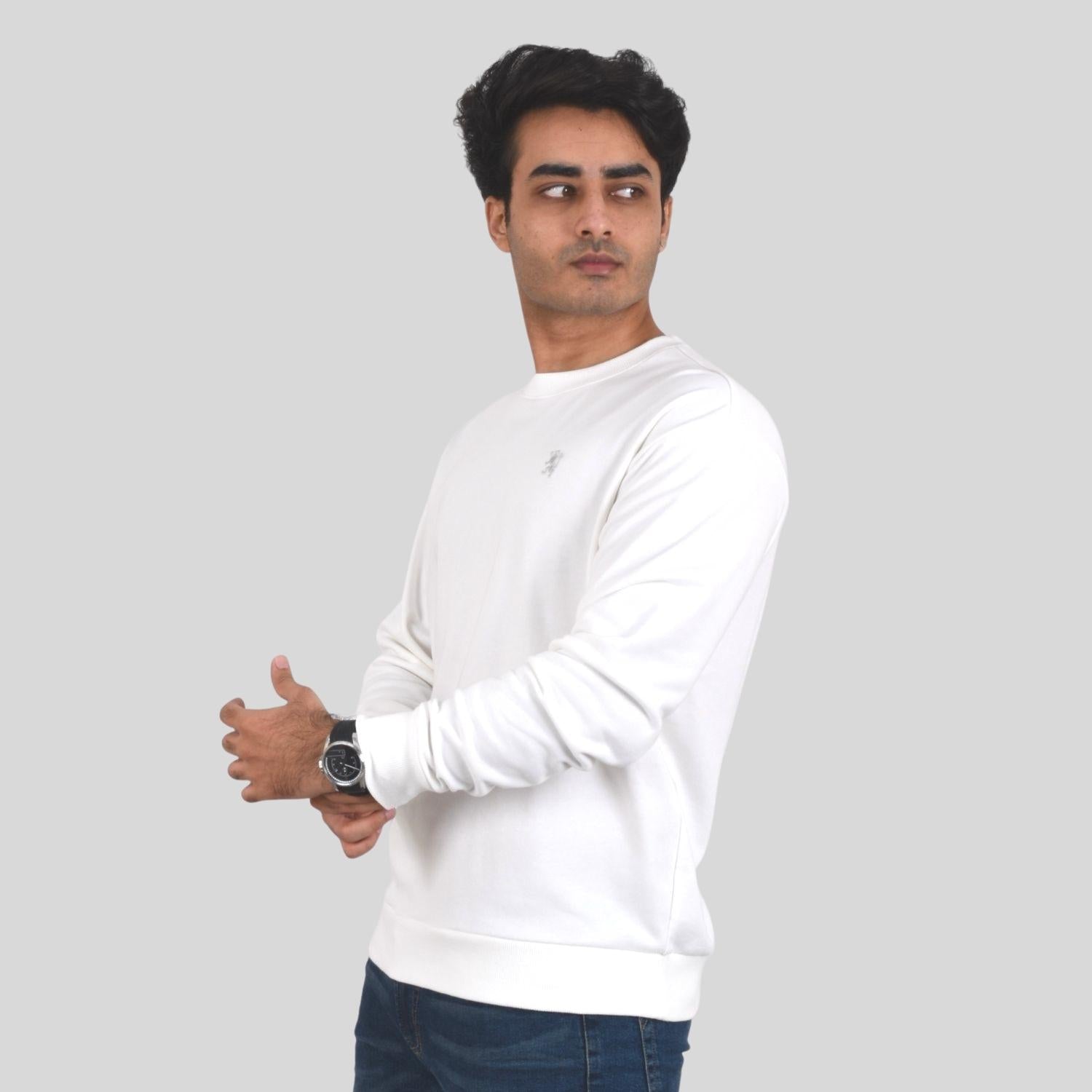 Men's Long Sleeve Crewneck Sweaters