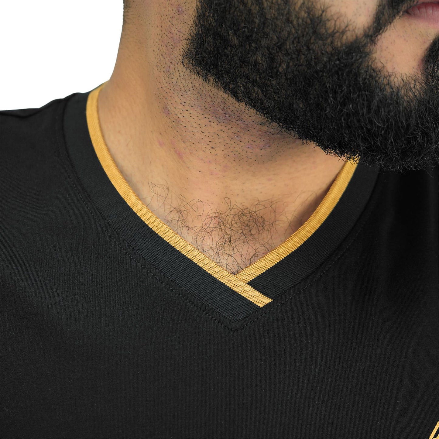 Men's V Neck Embroidery Tee