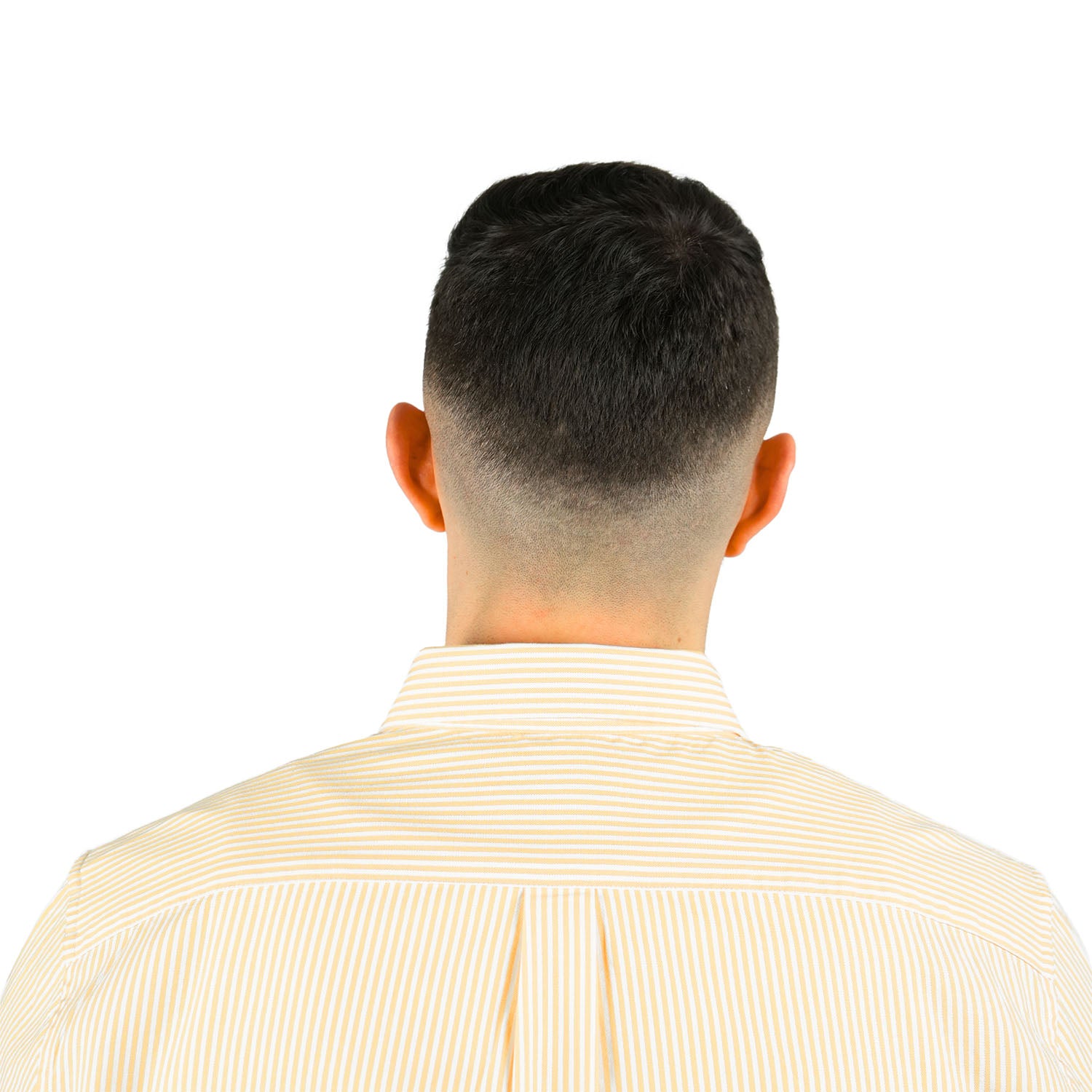 Men's Shirt With Small Lion Embroidery