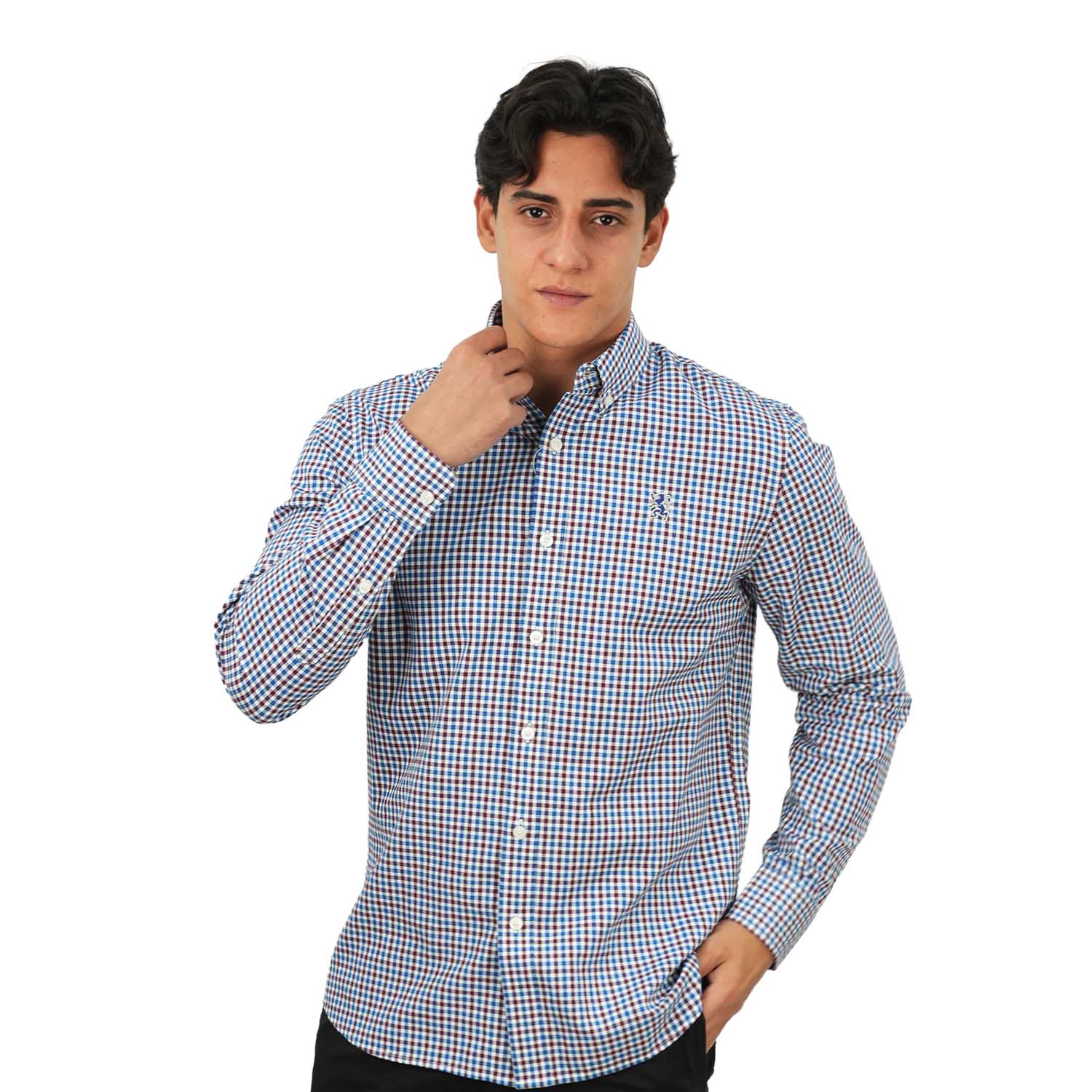 Men's Cotton Oxford Shirt - Small Lion Embroidery, Slim Fit, Full Button