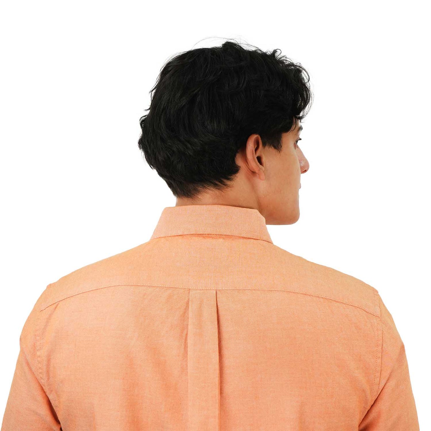 Men's Cotton Oxford Shirt - Small Lion Embroidery, Slim Fit, Full Button