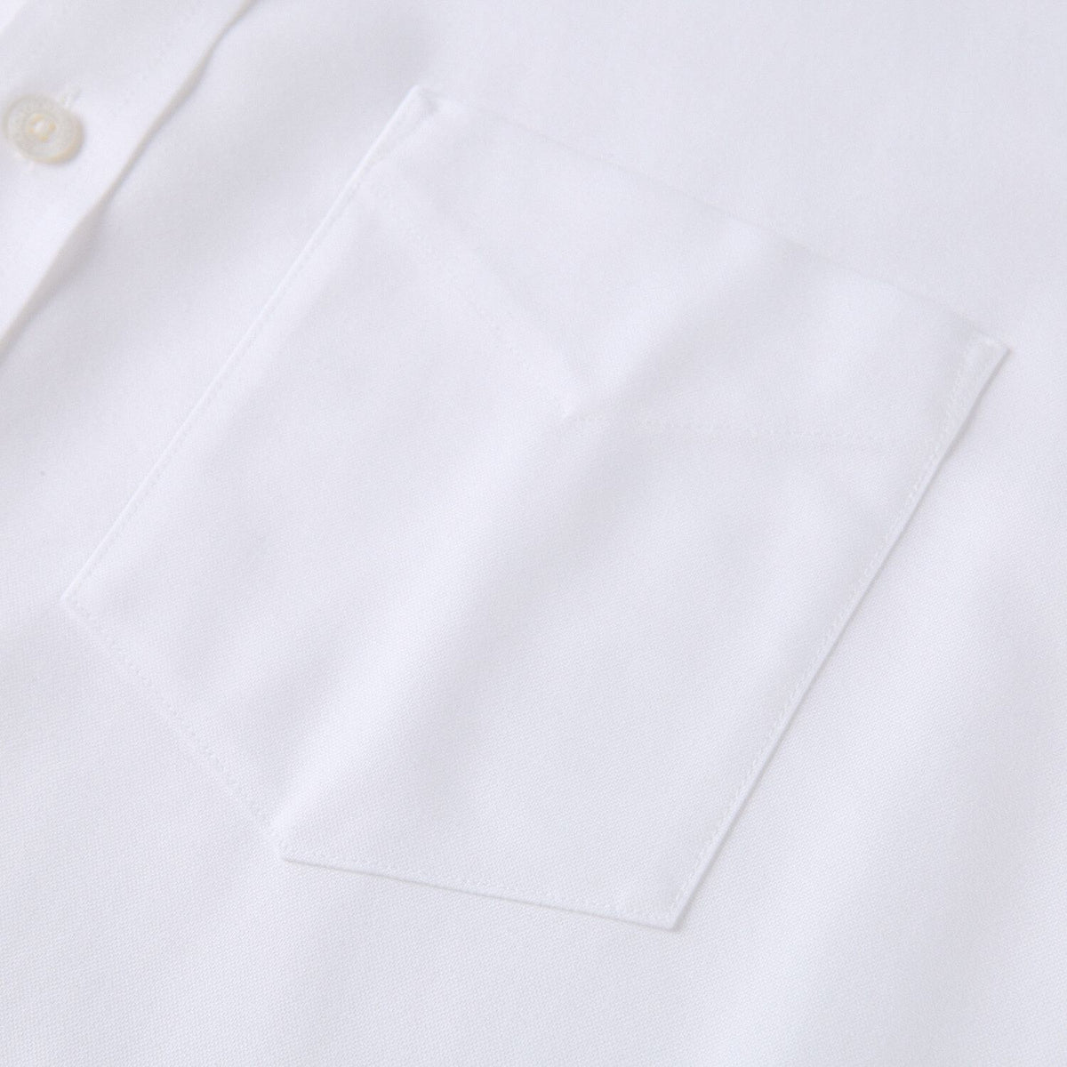 Men Wrinkle Free Cotton Oxford Shirt