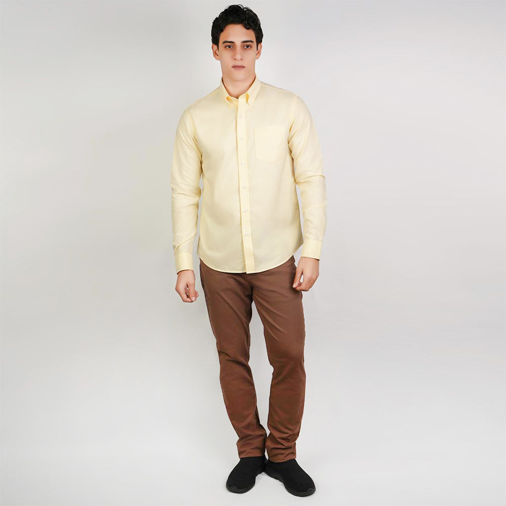 Men Wrinkle Free Cotton Oxford Shirt