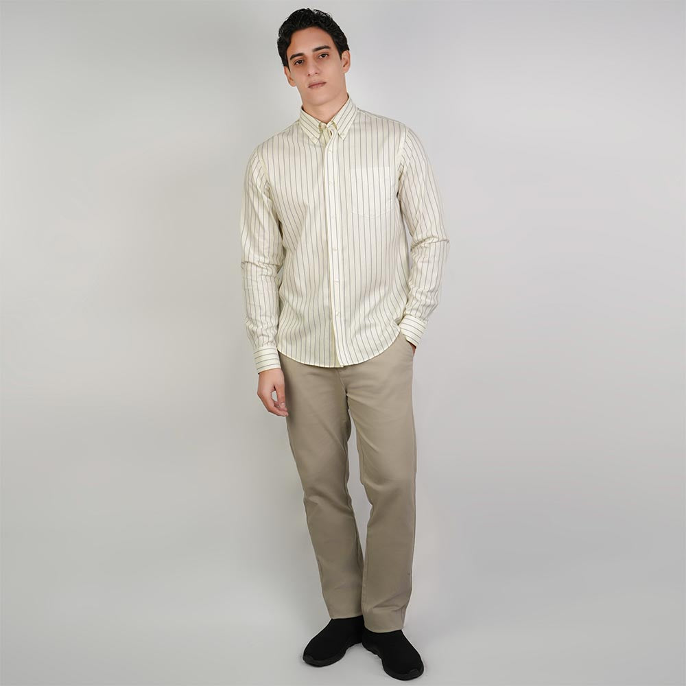 Men Wrinkle Free Regular Fit Oxford Shirt