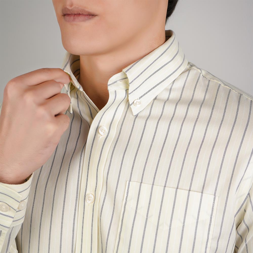 Men Wrinkle Free Regular Fit Oxford Shirt