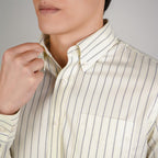 Men Wrinkle Free Regular Fit Oxford Shirt